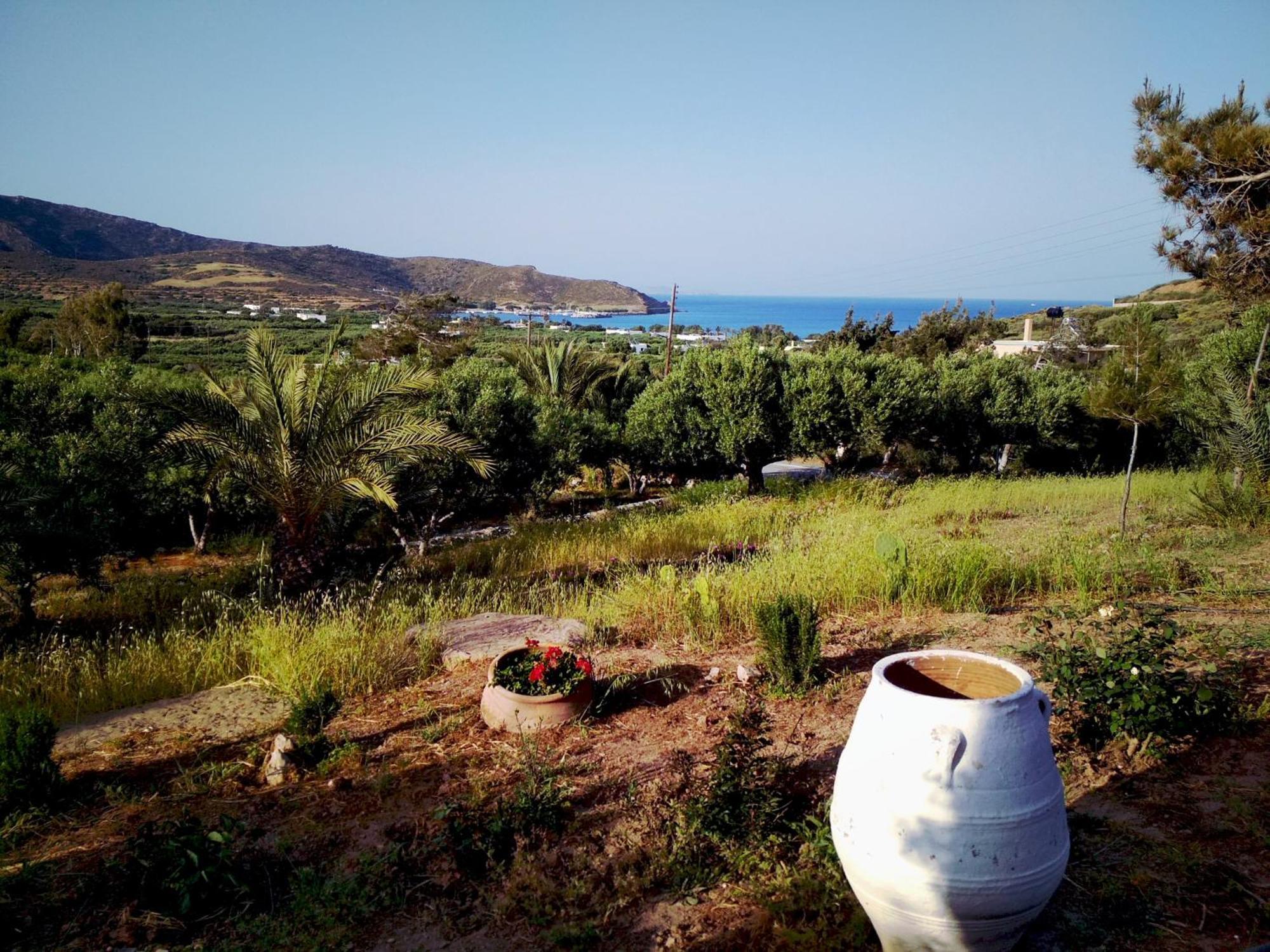 Porto Heli Apartments Palekastro Ngoại thất bức ảnh