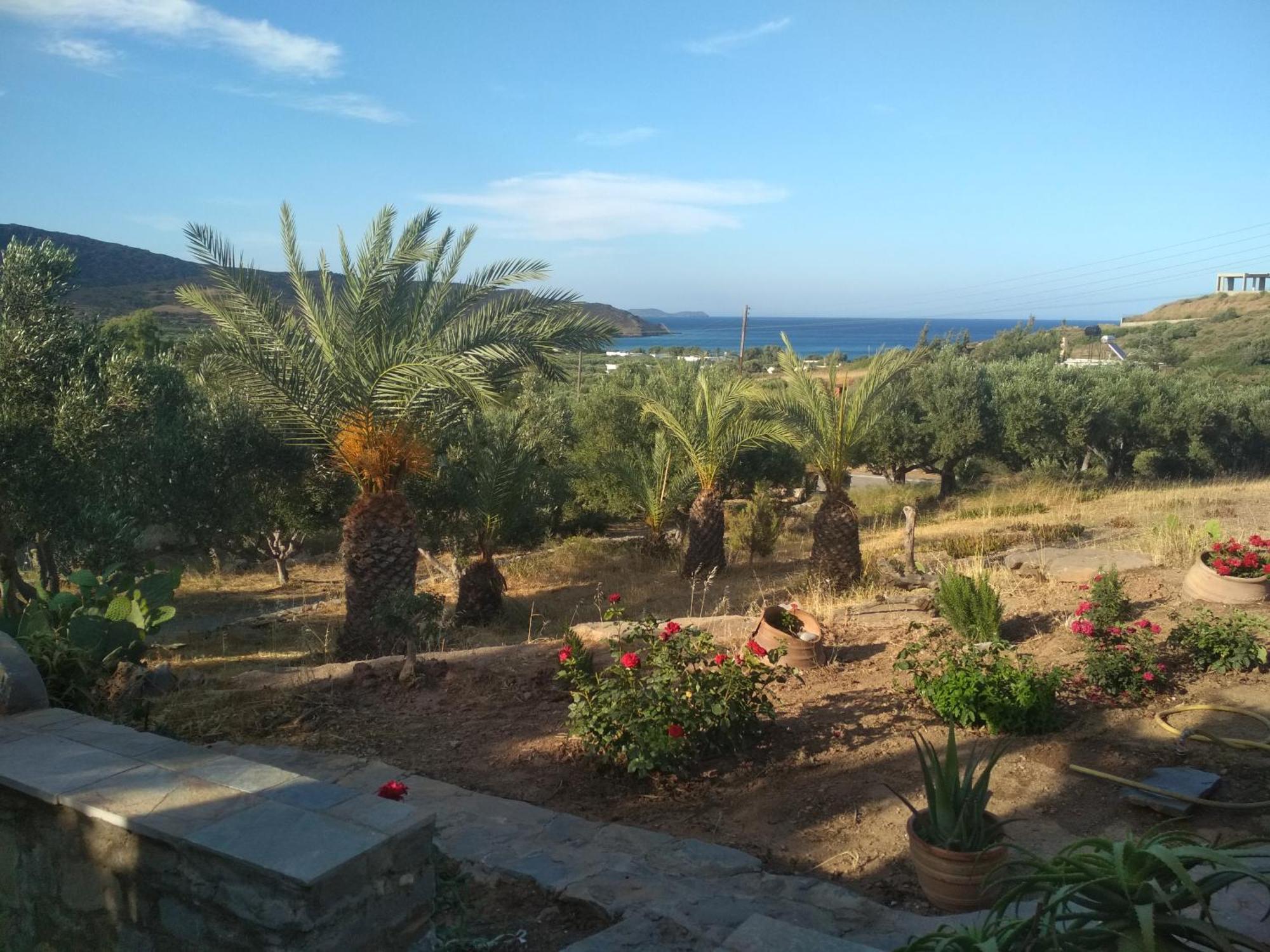 Porto Heli Apartments Palekastro Ngoại thất bức ảnh